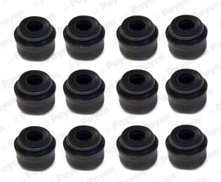 Jeu de joints d'étanchéité, tige de soupape PAYEN HR5096