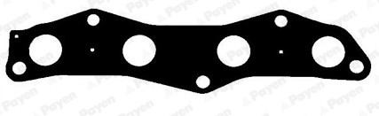 Gasket, exhaust manifold