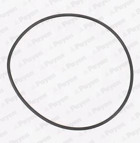 Joint d'étanchéité, pompe à eau PAYEN KA845