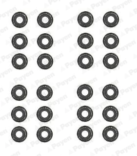 Jeu de joints d'étanchéité, tige de soupape PAYEN HR5062