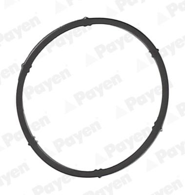 PAYEN JD6171 — Прокладка колектора IN VAG AWH/APF/AUR/AVU/BSE/BSF/AHL/AKL/BGU (4) (вир-во Payen)