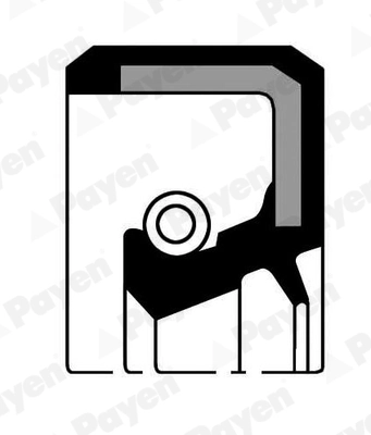 Bague d'étanchéité, boîte automatique PAYEN NK133