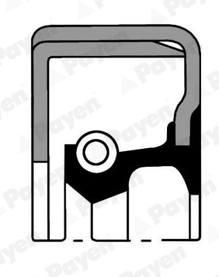 Bague d'étanchéité, moyeu de roue PAYEN NJ069