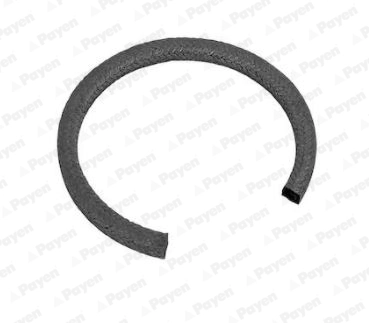 Shaft Seal, crankshaft