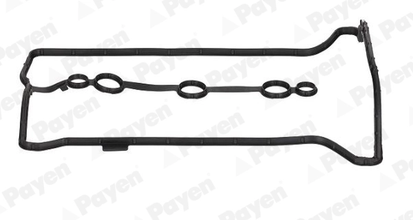 PAYEN JM7225