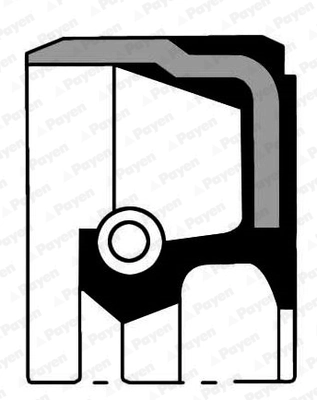Shaft Seal, differential
