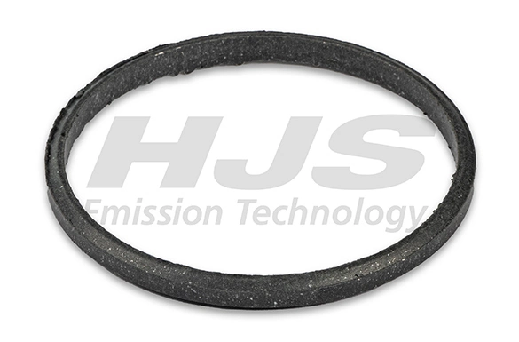 Seal Ring, exhaust pipe