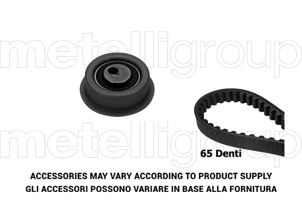 Timing Belt Kit