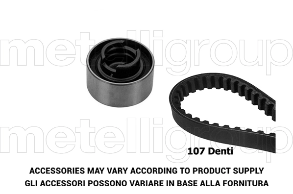 Timing Belt Kit