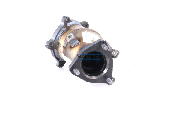 Catalyseur WALKER 28236