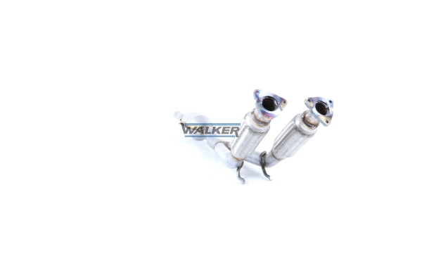 Catalyseur WALKER 28801