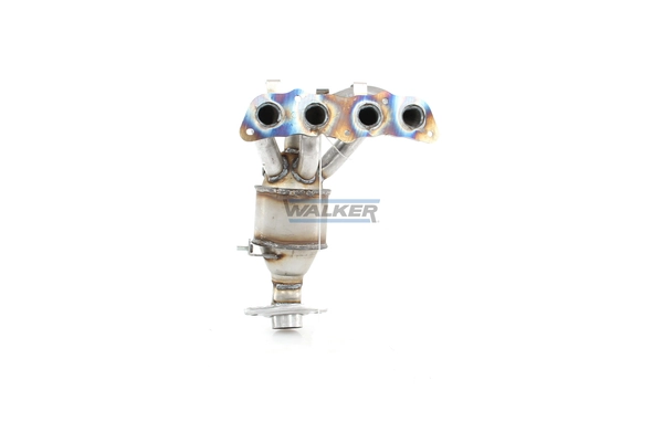 Catalyseur WALKER 28060