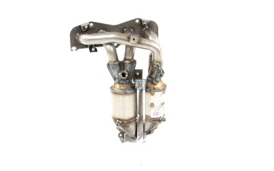 Catalyseur WALKER 20763