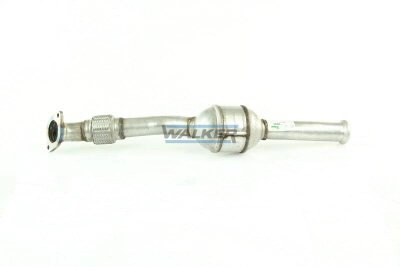 Catalyseur WALKER 20849