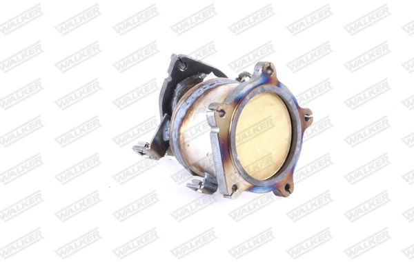 Catalyseur WALKER 28236