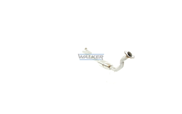 Catalyseur WALKER 20314