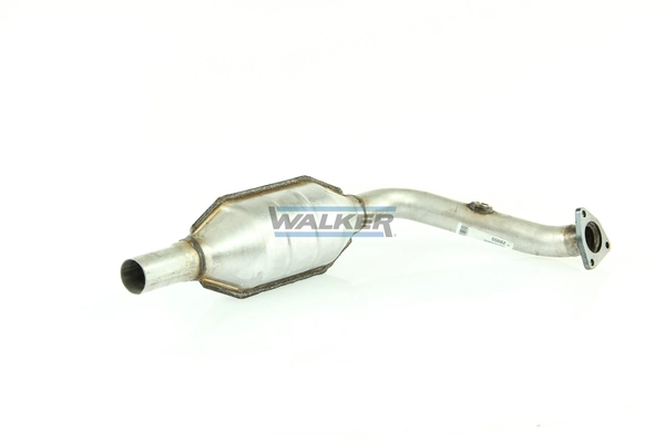 Catalyseur WALKER 20055