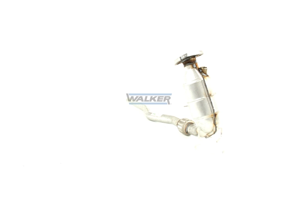 Catalyseur WALKER 20331