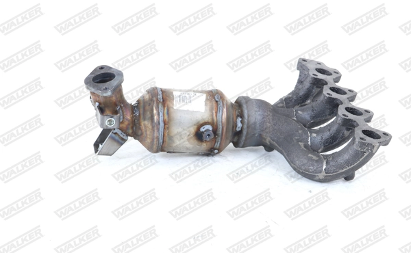 Catalyseur WALKER 20819
