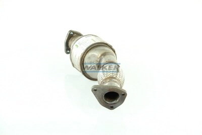 Catalyseur WALKER 20191