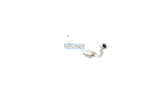 Catalyseur WALKER 20316