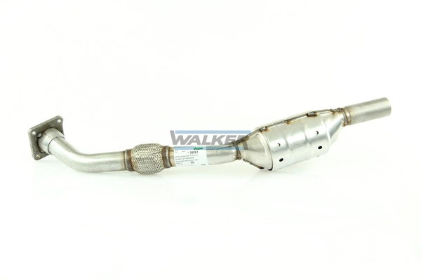 Catalyseur WALKER 20261