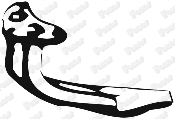 Tuyau d'échappement FONOS 1340