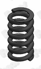 Spring, muffler