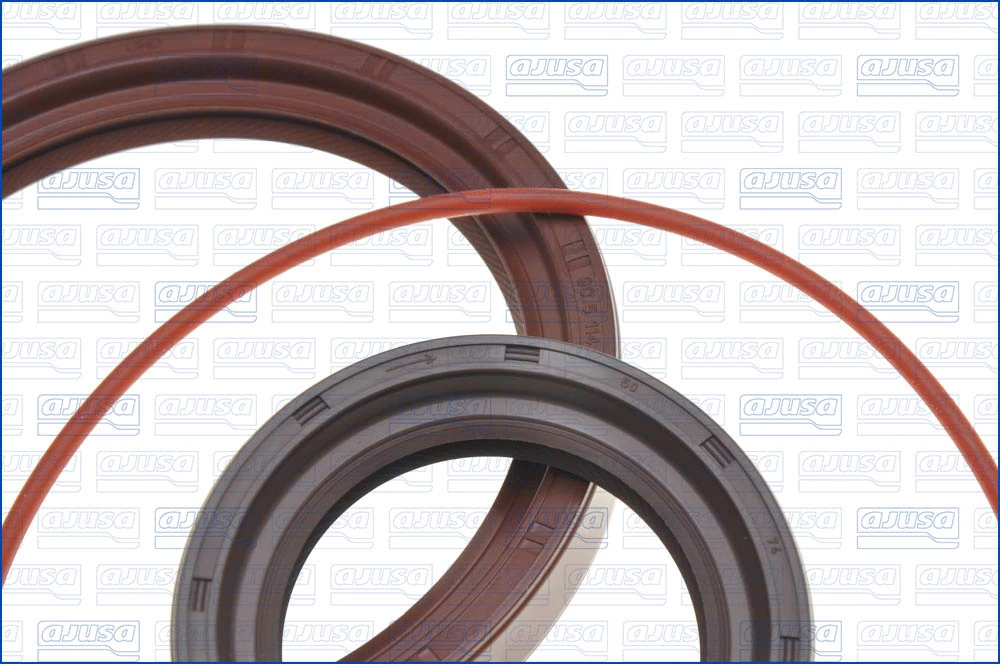 Pochette moteur complète AJUSA 51016900