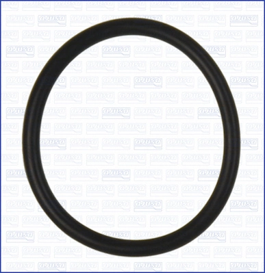 Seal Ring, coolant pipe