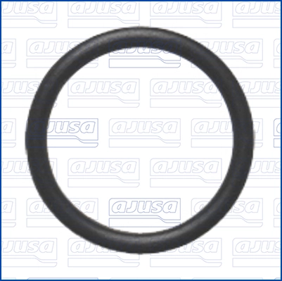 Joint, raccord d'eau (compresseur) AJUSA 16533900