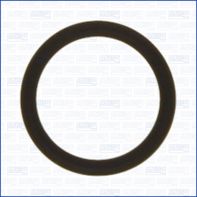 Gasket, crankcase ventilation