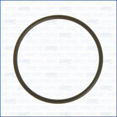 Кільце гумове AJUSA 16054100 для Ford, Mazda, Lincoln та інших