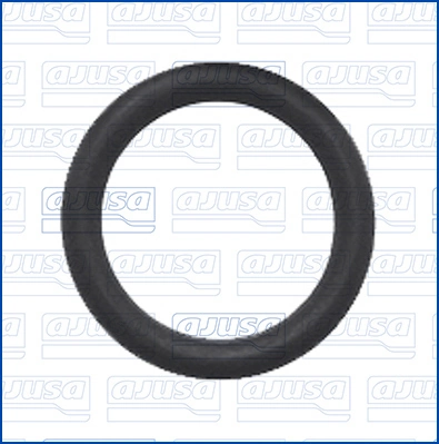 Joint, raccord d'eau (compresseur) AJUSA 16545200