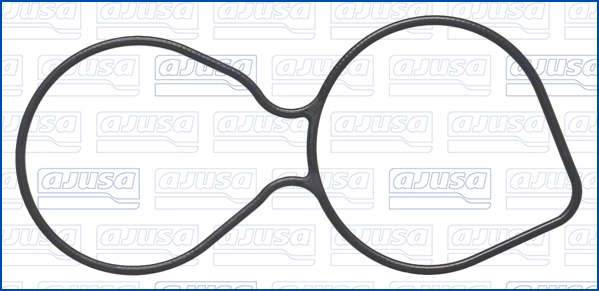 Gasket, thermostat housing