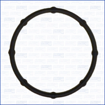 Gasket, thermostat housing