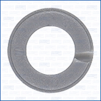 Seal Ring, injector