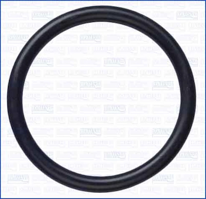 Joint d'étanchéité, pompe à eau AJUSA 16506100