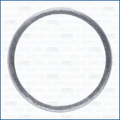 Seal Ring, exhaust pipe