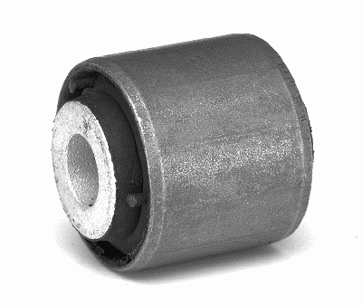 Mounting, axle strut