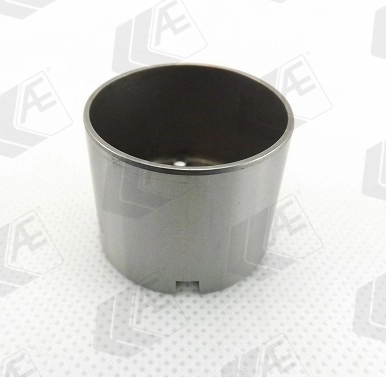 Poussoir de soupape AE FOL149