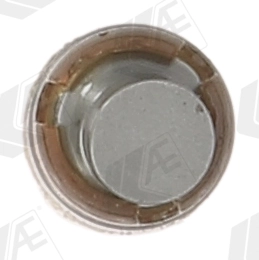 Poussoir de soupape AE FOL119