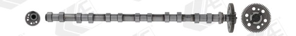 Arbre à came AE CAM1017