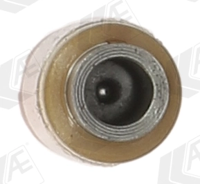 Poussoir de soupape AE FOL119