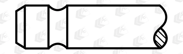 Exhaust Valve