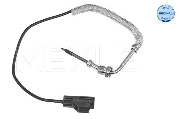 Capteur, température des gaz