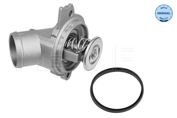 Thermostat d'eau