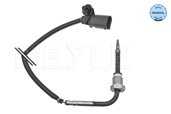 Capteur, température des gaz