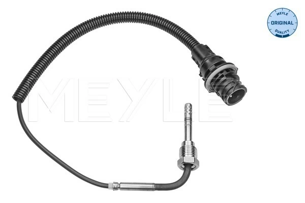 Capteur, température des gaz