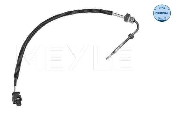 Capteur, température des gaz